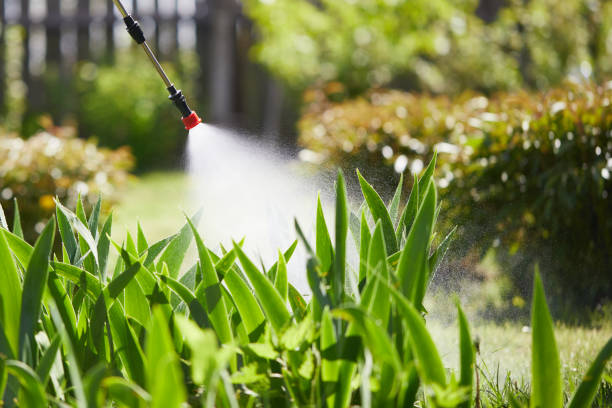 24/7 Emergency Mosquito Control experts in Mount Ivy, NY